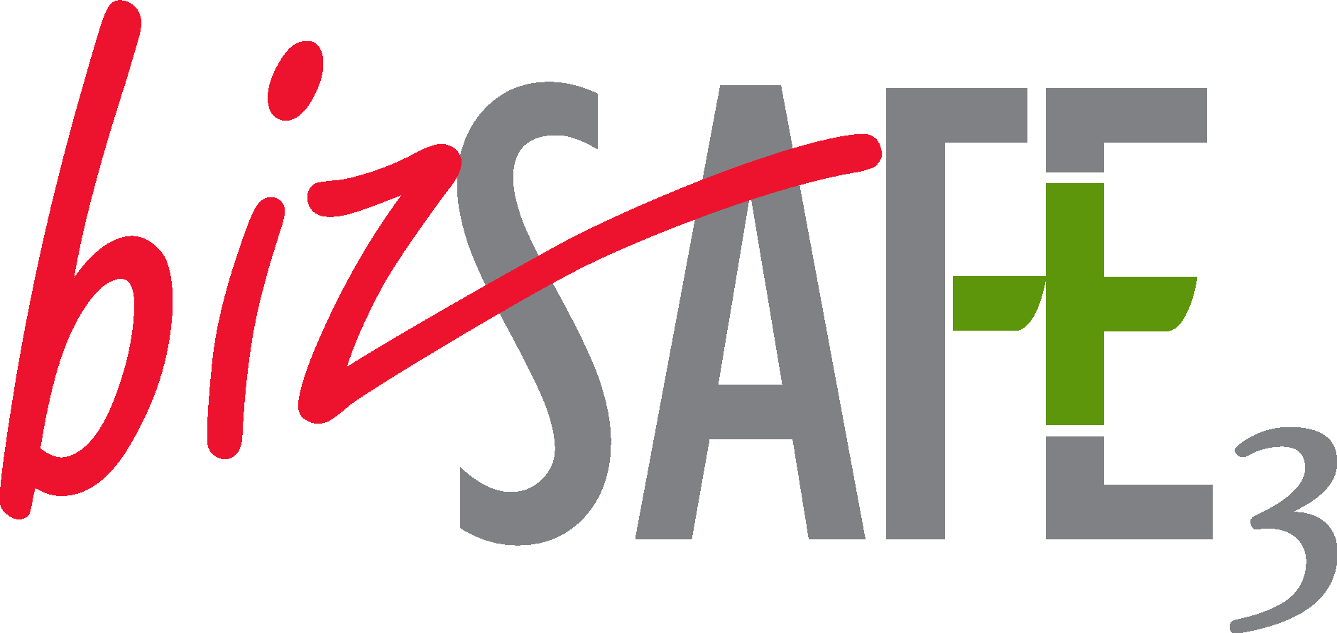 BIZ SAFE